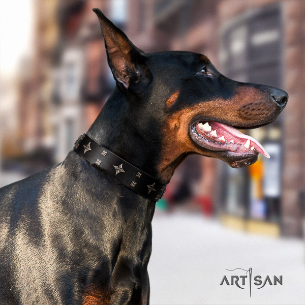 Doberman daily use full grain leather collar with unusual studs for your dog