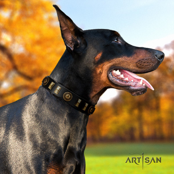 Doberman walking full grain natural leather collar with studs for your canine