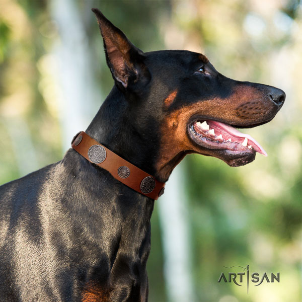 Doberman genuine leather dog collar with embellishments for your handsome pet