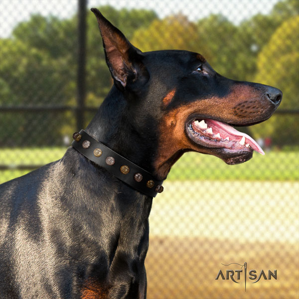 Doberman genuine leather dog collar with adornments for your stylish four-legged friend