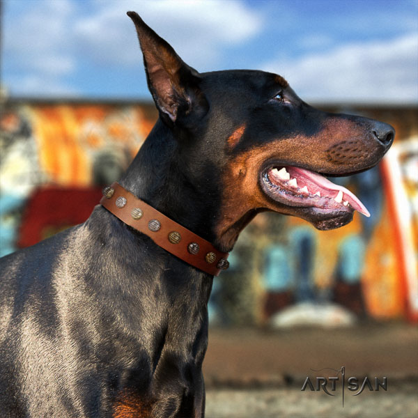 Doberman natural genuine leather dog collar with embellishments for your stylish pet