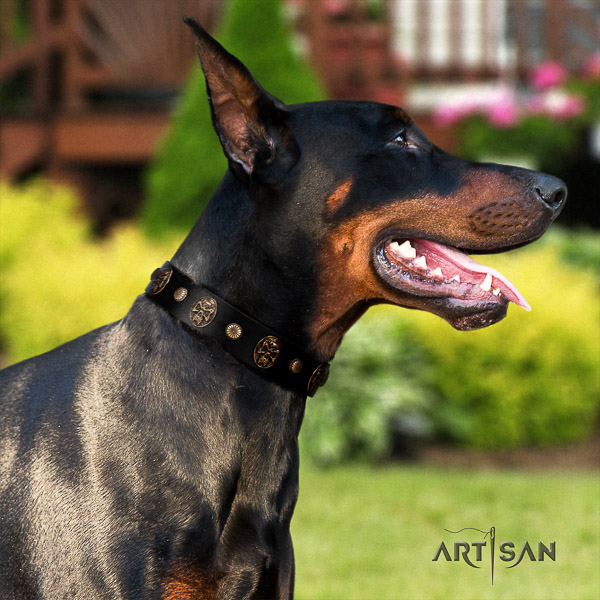 Doberman stylish walking genuine leather collar with decorations for your doggie