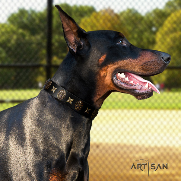 Doberman basic training leather collar with embellishments for your doggie