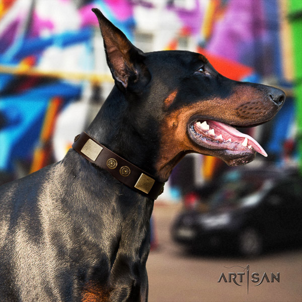 Doberman fancy walking leather collar with studs for your pet