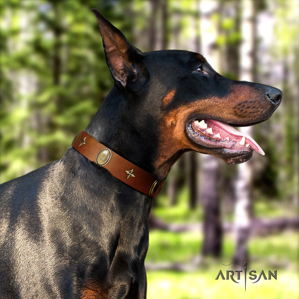 Doberman easy wearing genuine leather collar with stunning embellishments for your dog