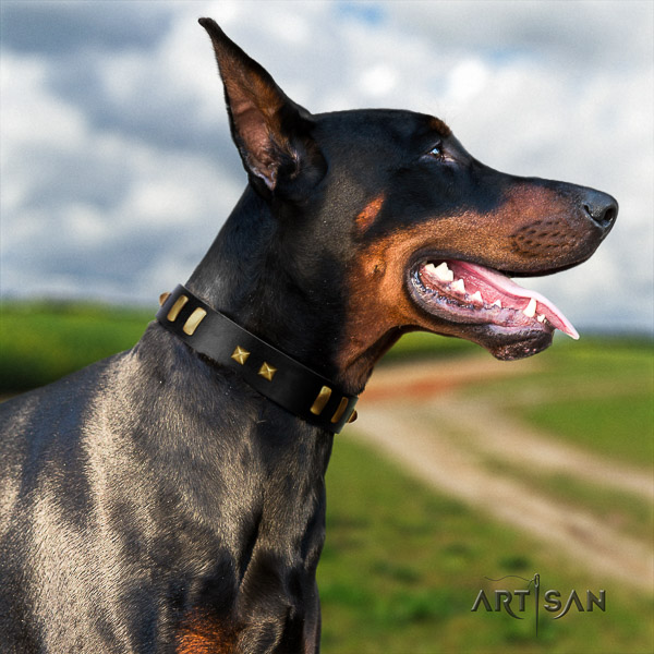 Doberman everyday walking full grain genuine leather collar with studs for your canine