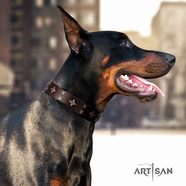 Doberman basic training natural leather collar with impressive embellishments for your canine