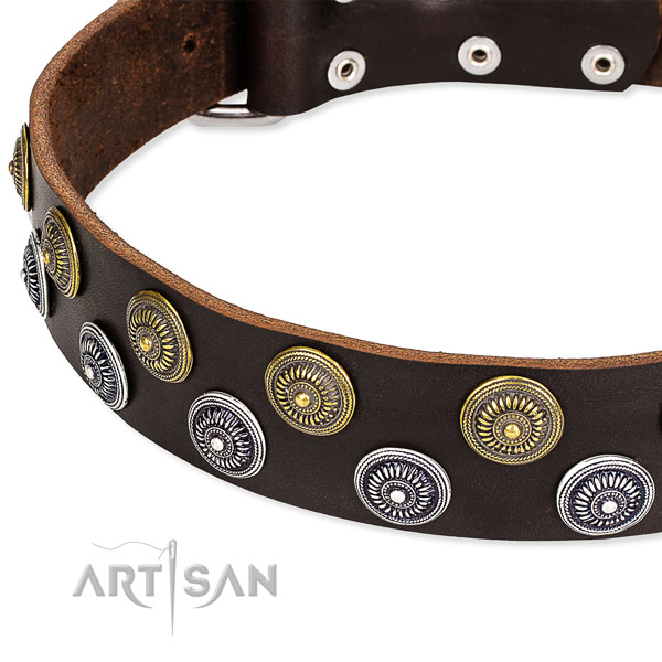 Snugly fitted leather dog collar with extra sturdy durable fittings