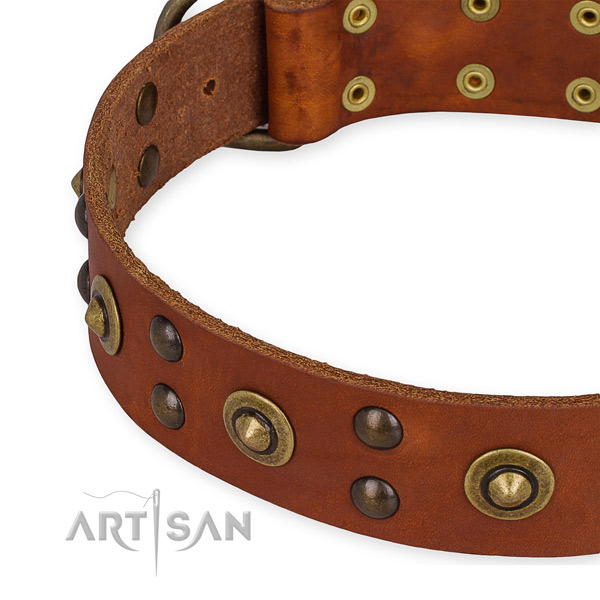 Easy to use leather dog collar with resistant rust-proof set of hardware