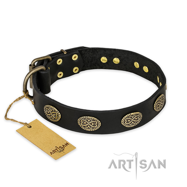 Fashionable design embellishments on full grain leather dog collar