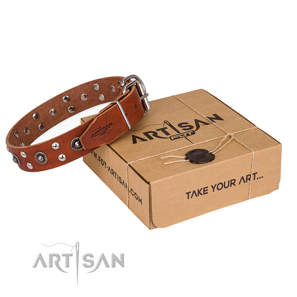 High quality full grain natural leather dog collar for stylish walks