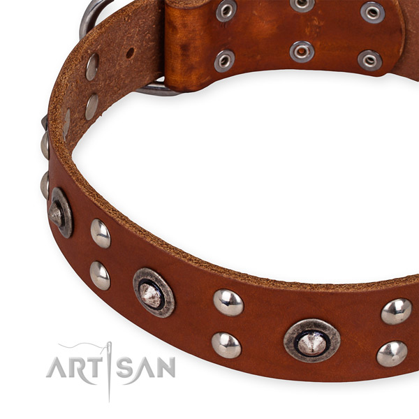 Easy to put on/off leather dog collar with resistant non-rusting set of hardware
