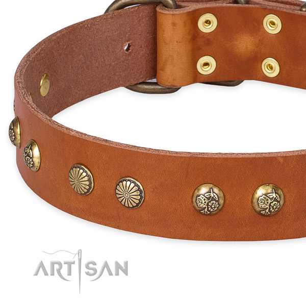 Quick to fasten leather dog collar with almost unbreakable non-rusting hardware