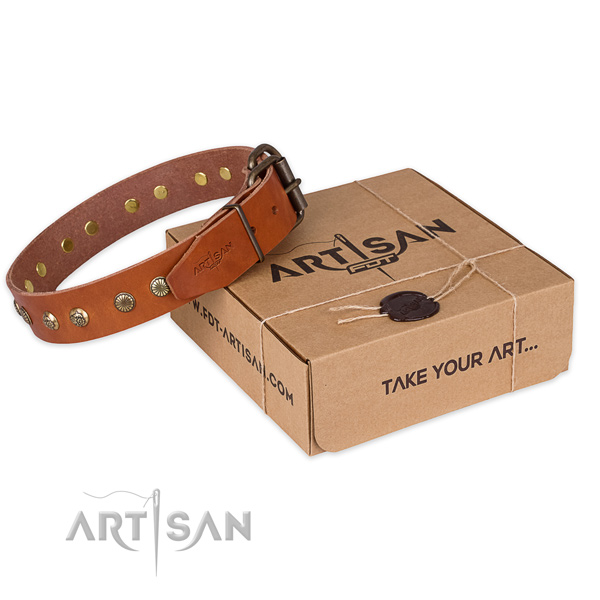 Top quality leather dog collar for walking in style