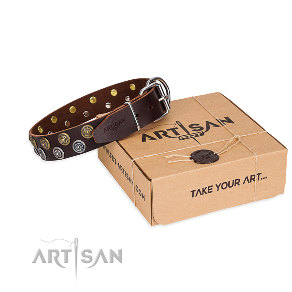 Everyday leather dog collar with cute adornments