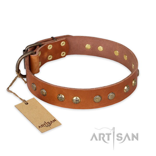 Top notch design adornments on full grain genuine leather dog collar