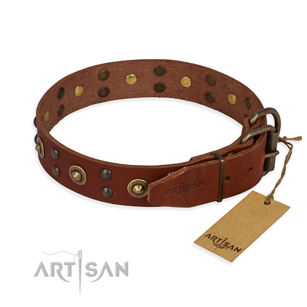 Everyday walking genuine leather collar with studs for your pet