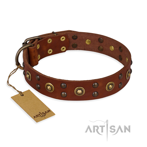 Incredible design studs on full grain leather dog collar