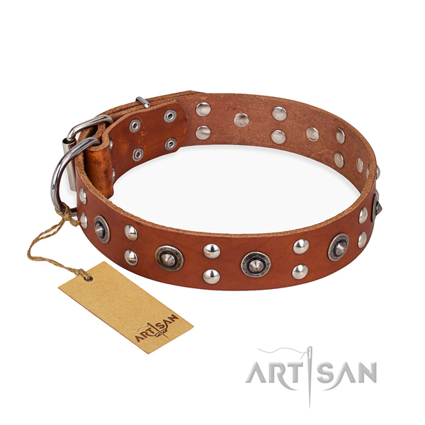 Amazing design adornments on full grain natural leather dog collar