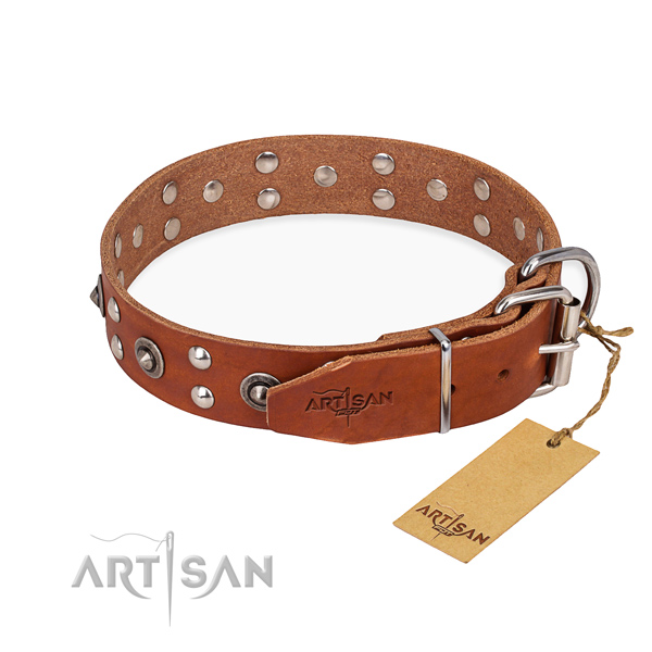 Everyday walking full grain natural leather collar with studs for your dog