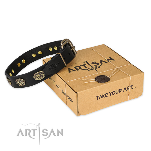 Perfect fit genuine leather dog collar for everyday use