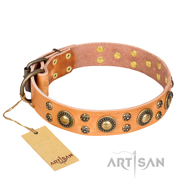 Strong leather dog collar with durable elements