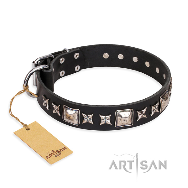 Heavy-duty leather dog collar with durable details