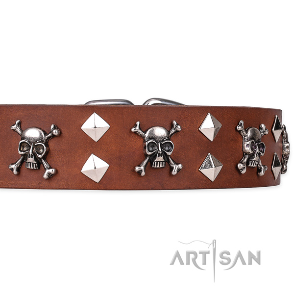 Day-to-day leather dog collar with exciting studs