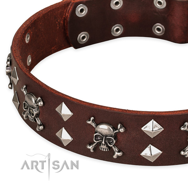 High quality leather dog collar for walking