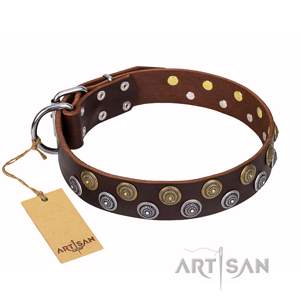 Strong leather dog collar with strong hardware