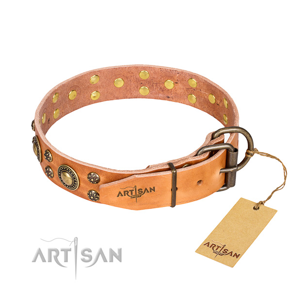 Daily leather collar for your darling canine
