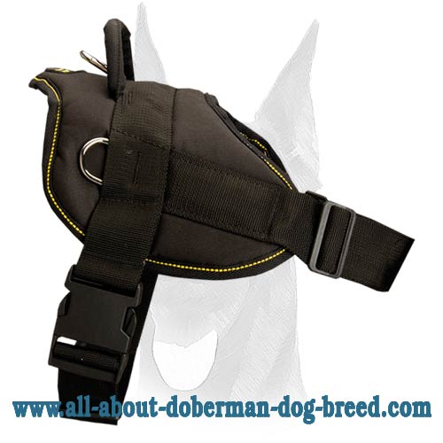 Nylon Doberman harness with ID-patches Get nylon Doberman harness with  ID-patches, All weather dog harness [H17##1036 Nylon harness with patches]  - $38.39 : Doberman Breed: Dog harness, Muzzle, Collar, Leash