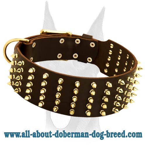 Handmade Leather Dog Collar, Rust-Proof Brass