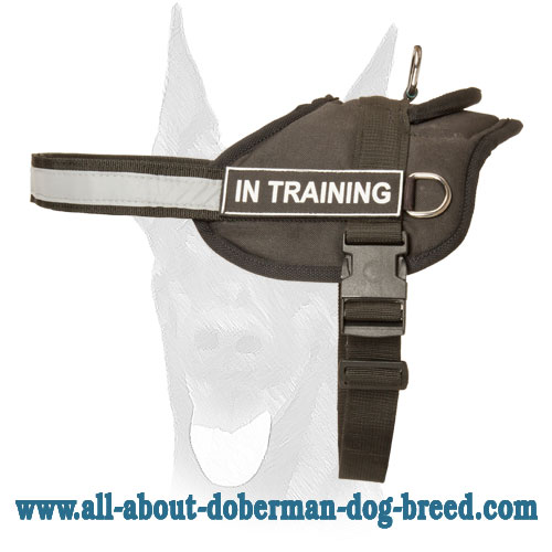 Nylon Doberman harness with ID-patches Get nylon Doberman harness