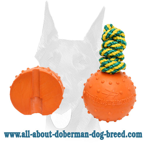 Solid Rubber Doberman Water Ball, Basic Training