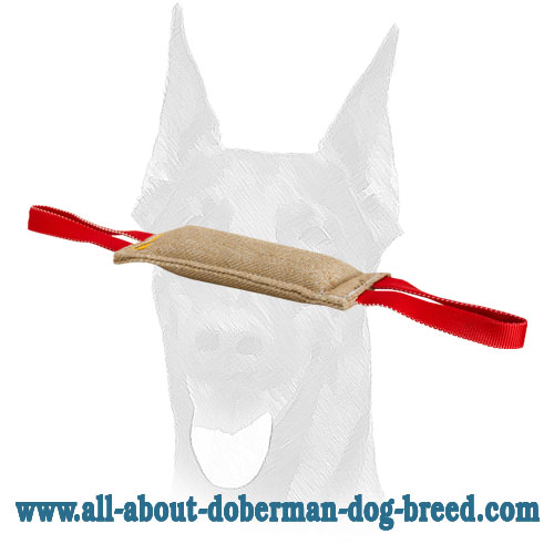 are doberman dog friendly