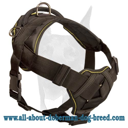 All seasons choice nylon Doberman harness for all kinds of activities Nylon  pulling dog harness  Cushion-like chest plate Doberman harness [H12##1036  Nylon pulling harness] - $54.89 : Doberman Breed: Dog harness