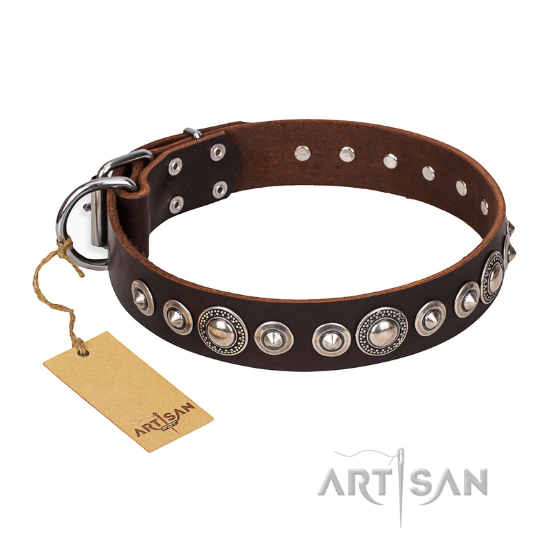 Doberman belt fashion