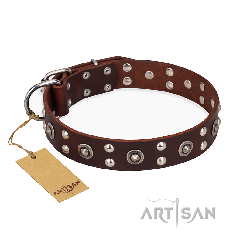 Pirate Dog Collar