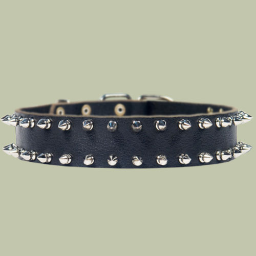 Spiked Collars