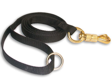 nylon dog leash