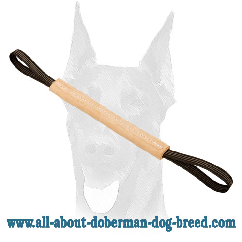 Doberman pocket sales