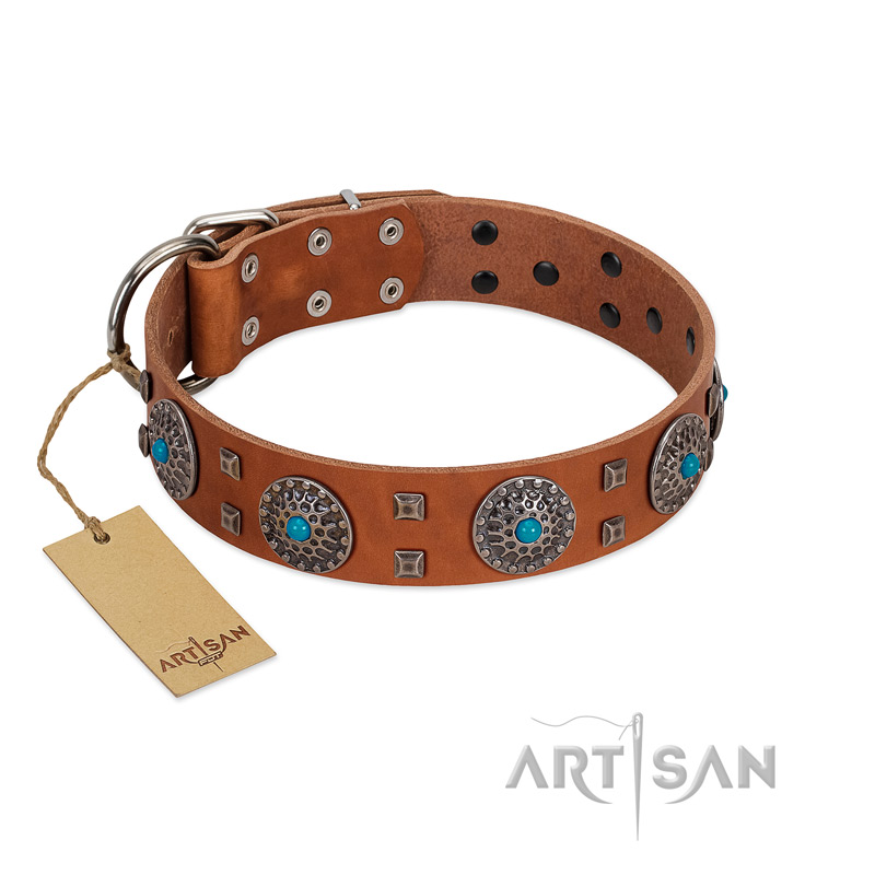 Blue Sands FDT Artisan Tan Leather Doberman Collar with Silver like Studs and Round Conchos with Stones Doberman Breed Dog harness Muzzle Collar Leash 2024 BUY NOW