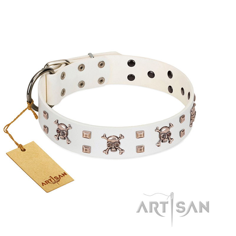 The Best Dog Accessories 2023: Stylish Dog Collars, Leashes