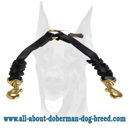 Reliable fittings for Doberman leash