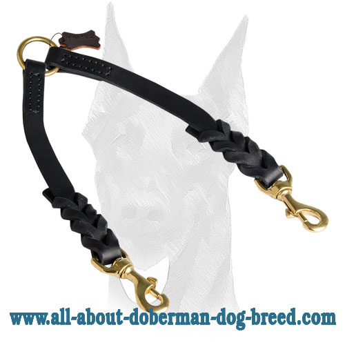 Leather short braids for Doberman collar