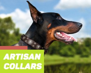 Exclusive Gear for Your Doberman 2024 | [Buy Now]